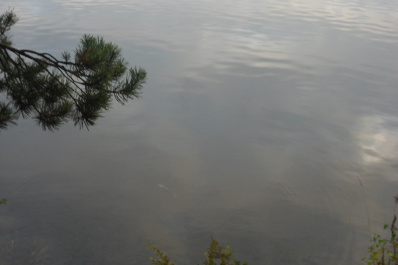 photo 541676