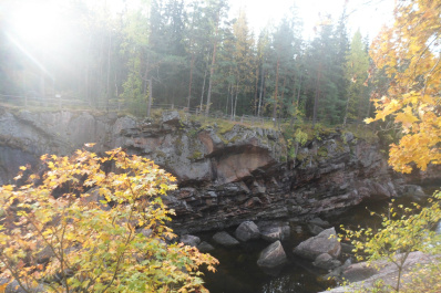 photo 541678