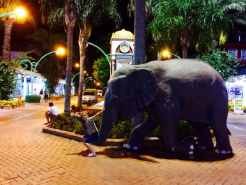 photo 1102786