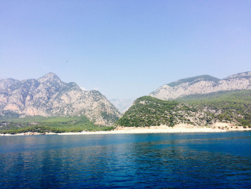 photo 1102798