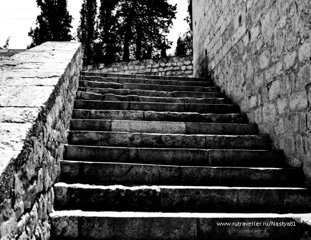 photo 321746