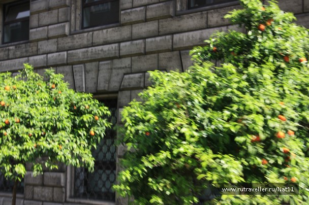 photo 817042