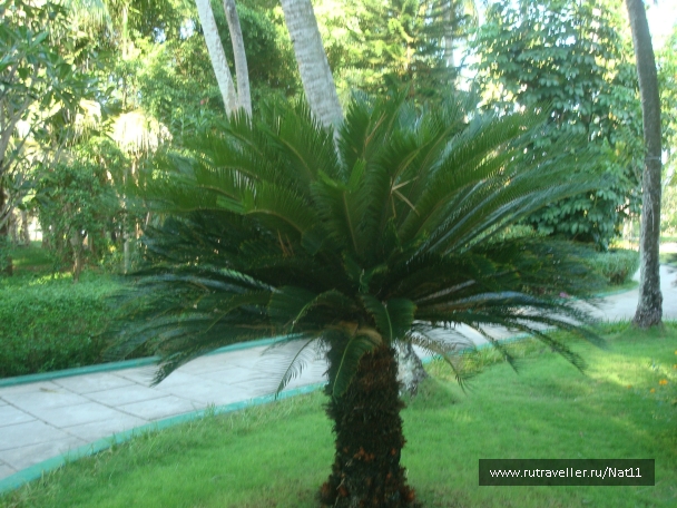 photo 816097