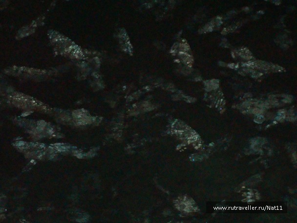 photo 816140