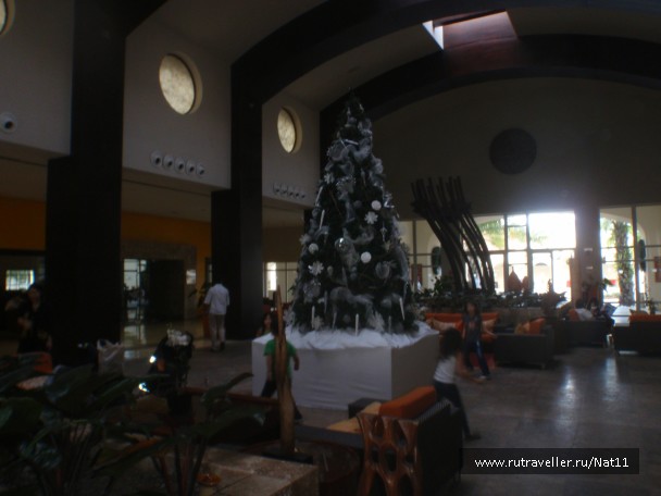 photo 817389