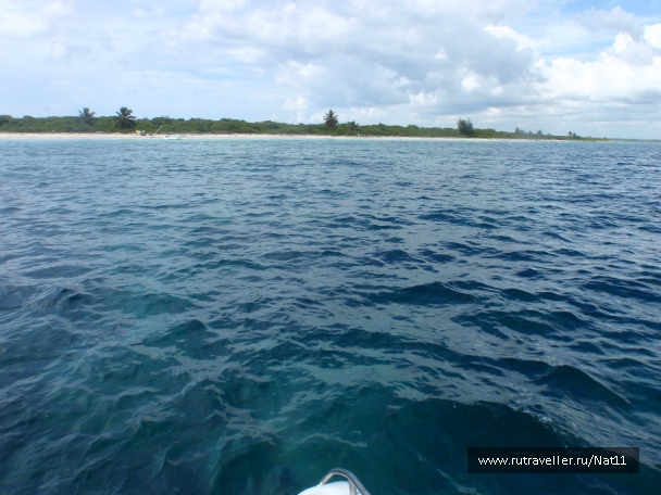 photo 817419
