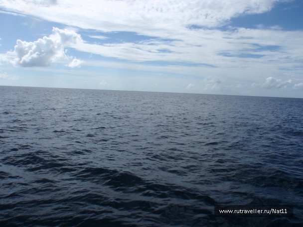 photo 817420