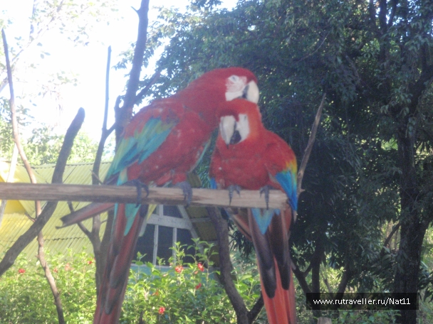 photo 817432