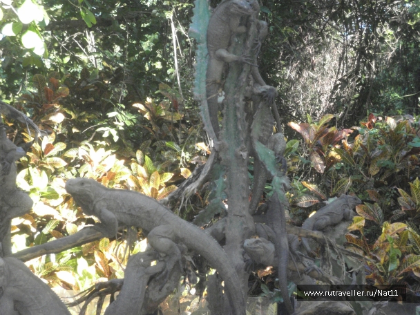photo 817434