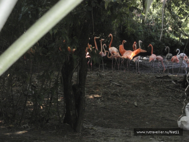 photo 817436