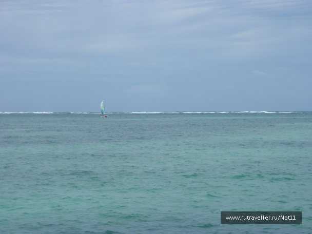 photo 817455