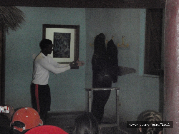 photo 817461