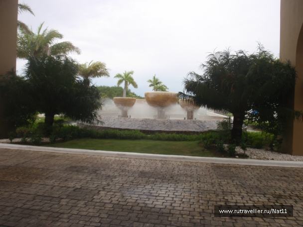 photo 817468