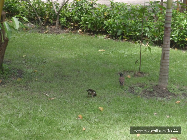 photo 818124