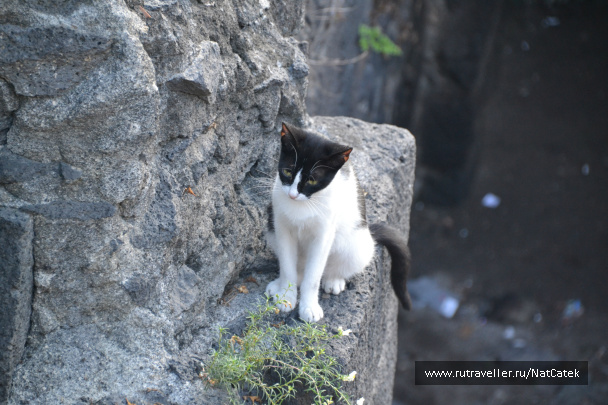 photo 545585