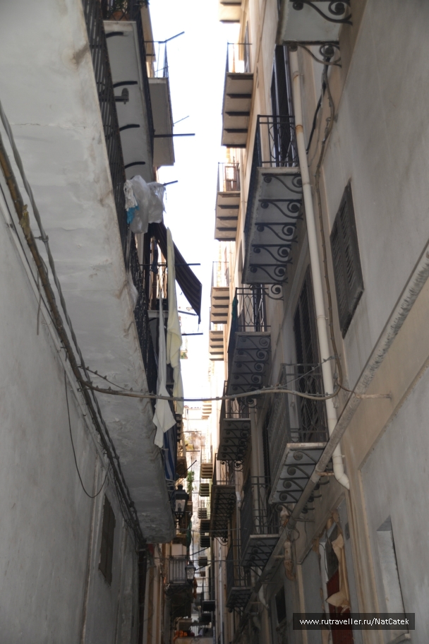 photo 545624