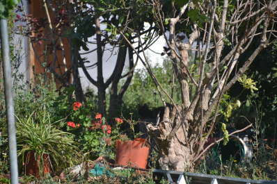 photo 545712