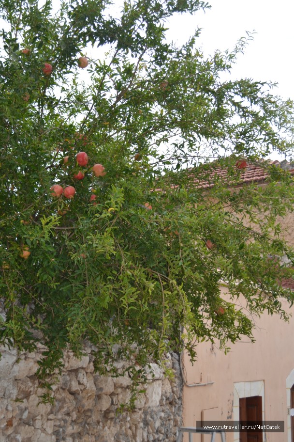 photo 549048