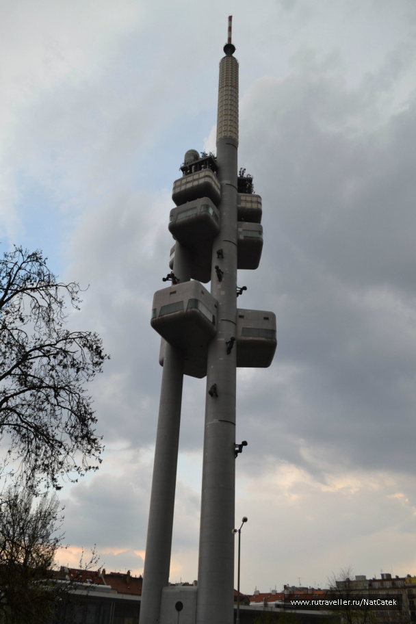 photo 547998