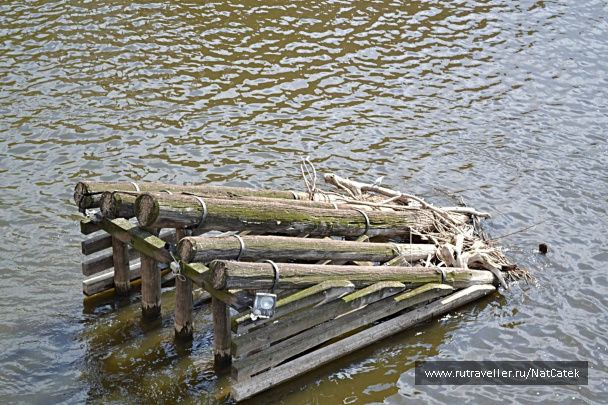 photo 548053