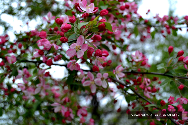 photo 548173