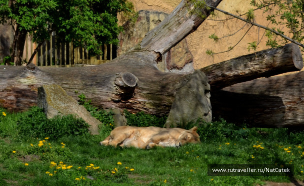 photo 549010