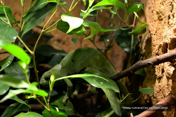 photo 549015