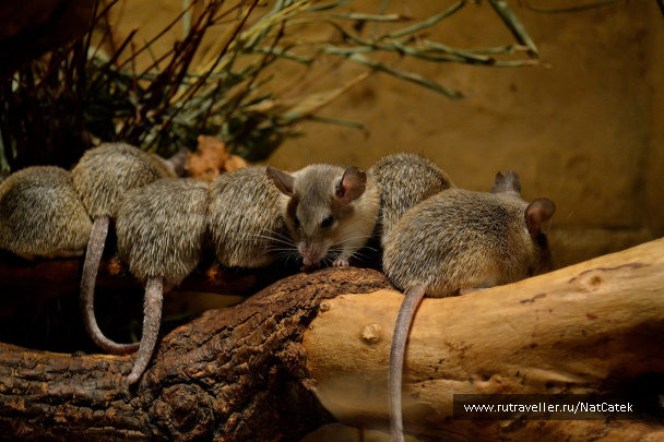 photo 549016