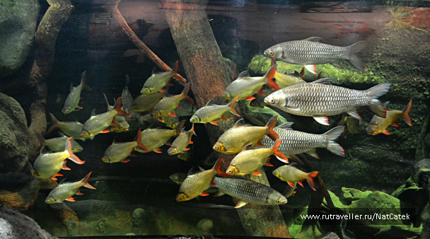 photo 549024