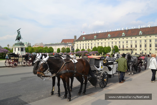 photo 548272