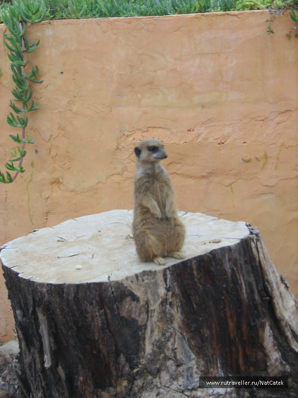 photo 549253