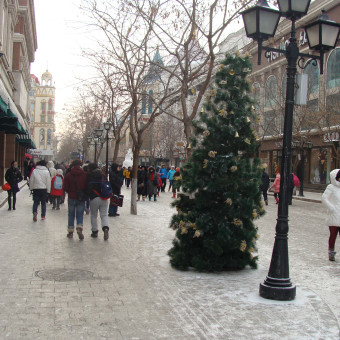Новогодний Харбин 2014
