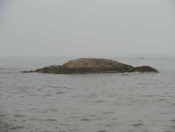 photo 781827