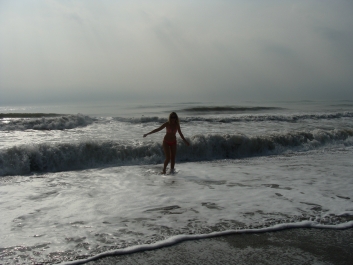 photo 782957