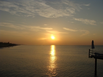 photo 782972