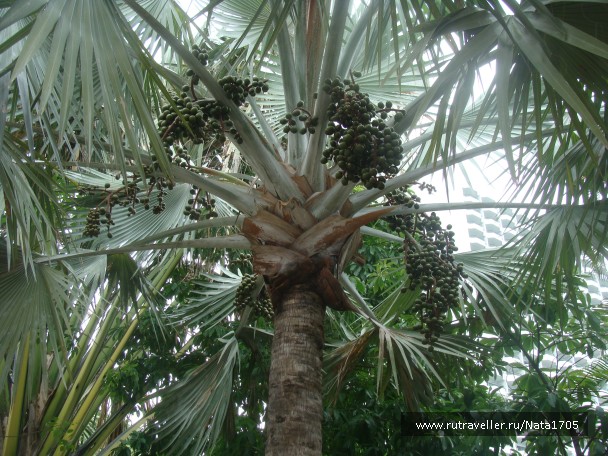 photo 782911