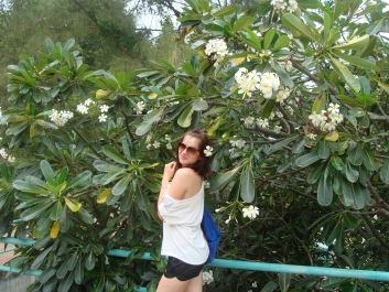 photo 782920