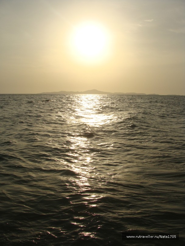 photo 782926