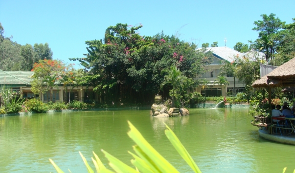 DSC03246