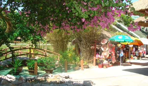 DSC03220
