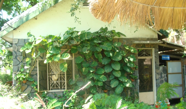 DSC03287