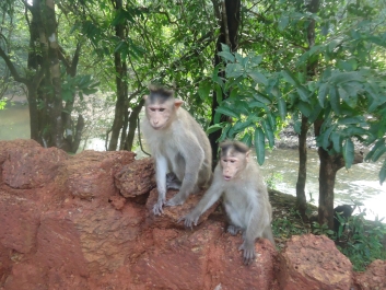 photo 931823