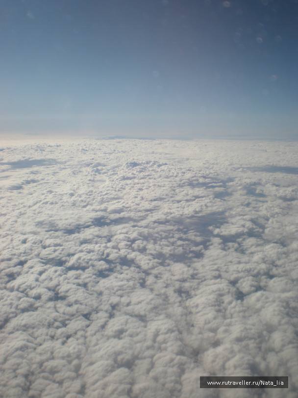 photo 31827