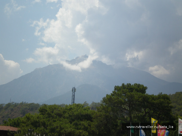 photo 36845