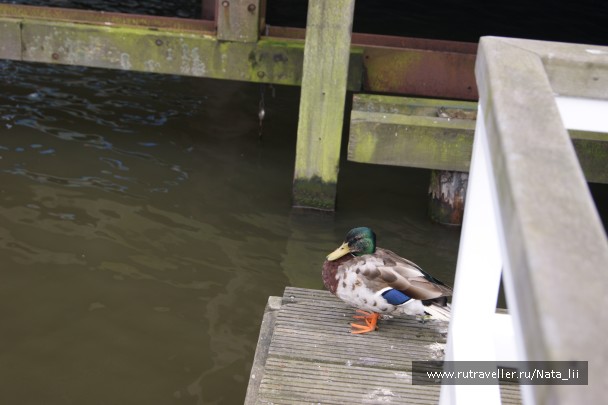 photo 1032362
