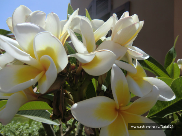 photo 86942