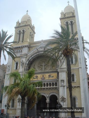 photo 219817