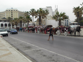 photo 438791