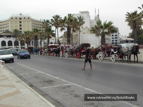 photo 438791