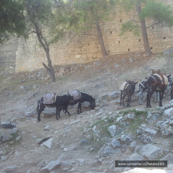 photo 1162139